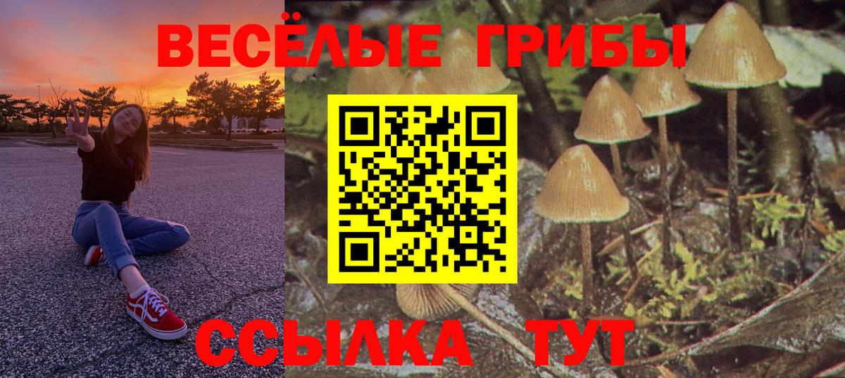 Галлюциногенные грибы GOLDEN TEACHER Каменск-Шахтинский