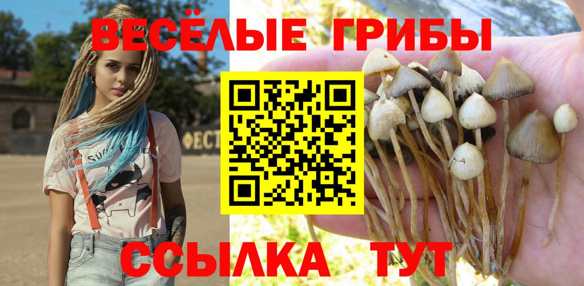 Каннабис Каменск-Шахтинский